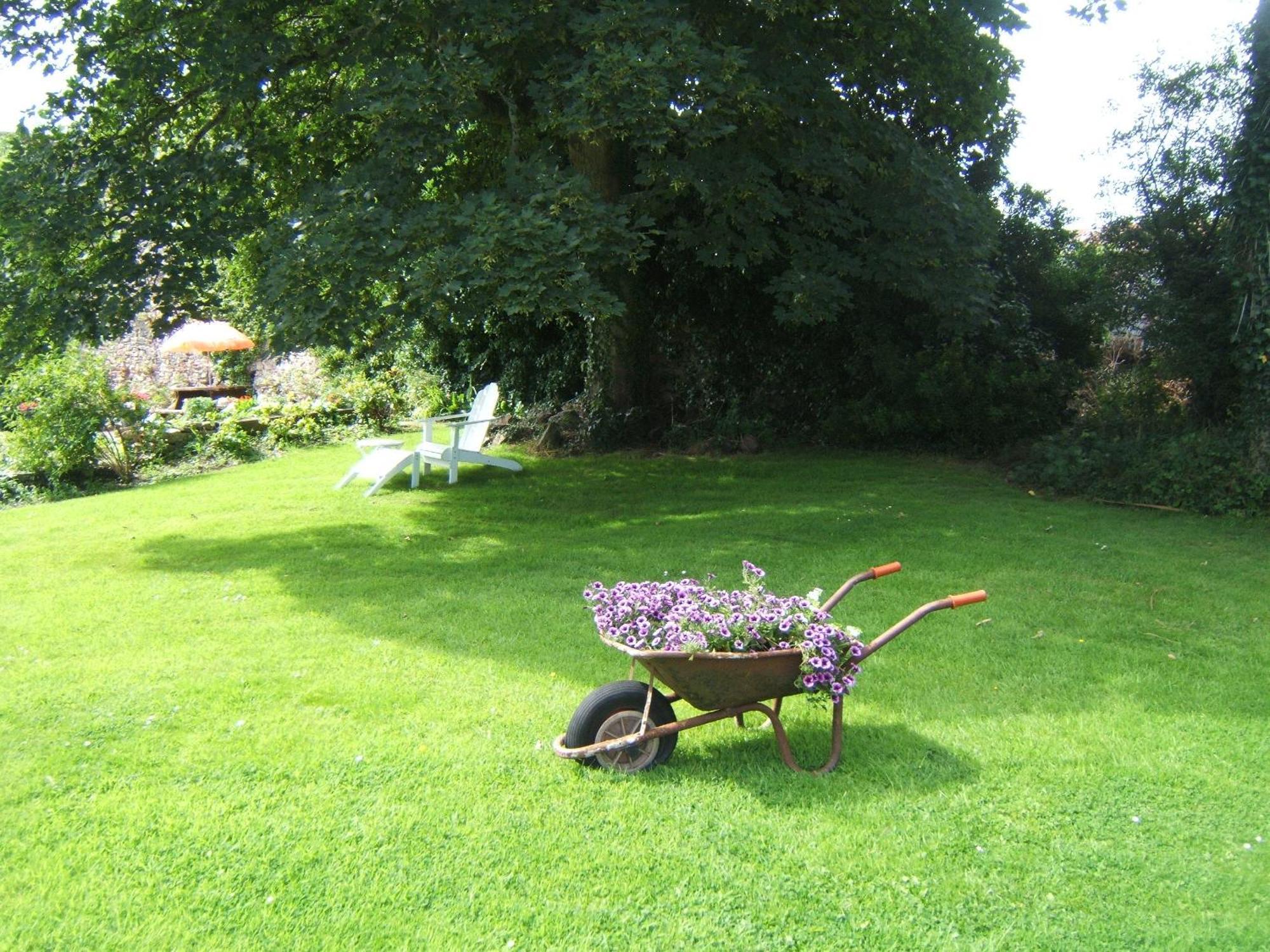 Faythe Guesthouse Wexford Exterior photo